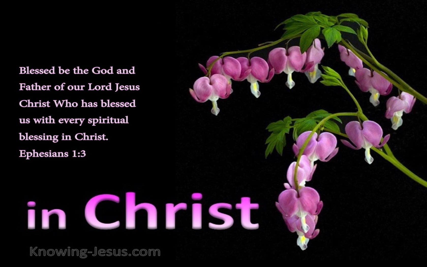 Ephesians 1:3 Every Spiritual Blessing (devotional)12-07 (purple)